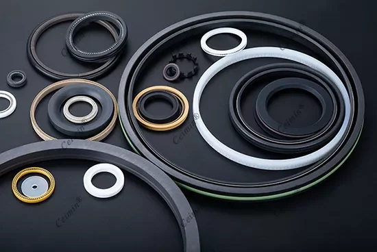 Ceimin spring energized seals and industrial sealing products